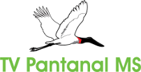 TV Pantanal MS HD